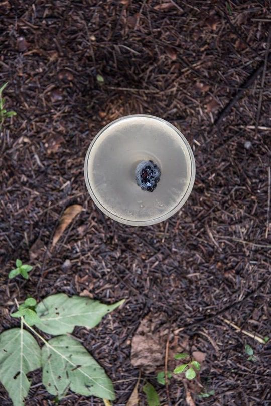 Hendrick’s 75 Cocktail