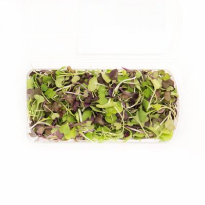 Antioxidant Signature Blend