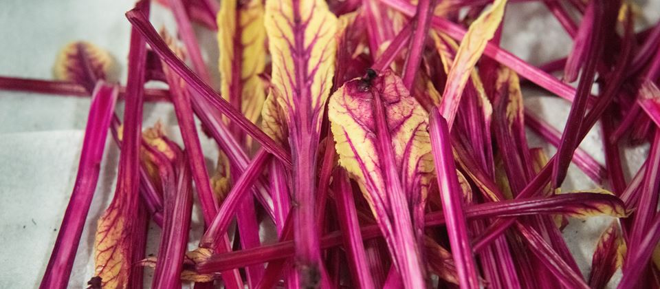Bountiful Beet Blush: Brilliantly Flavorful