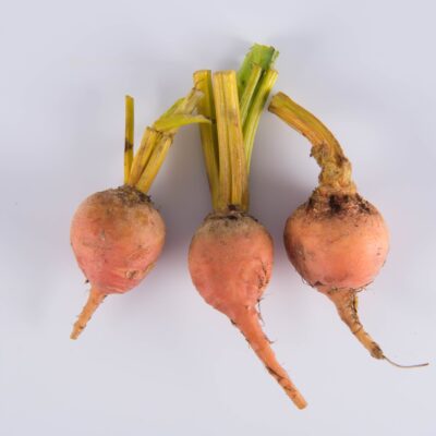 Gold Beet