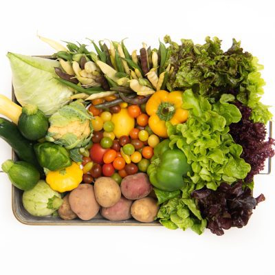 Best of the Season Box