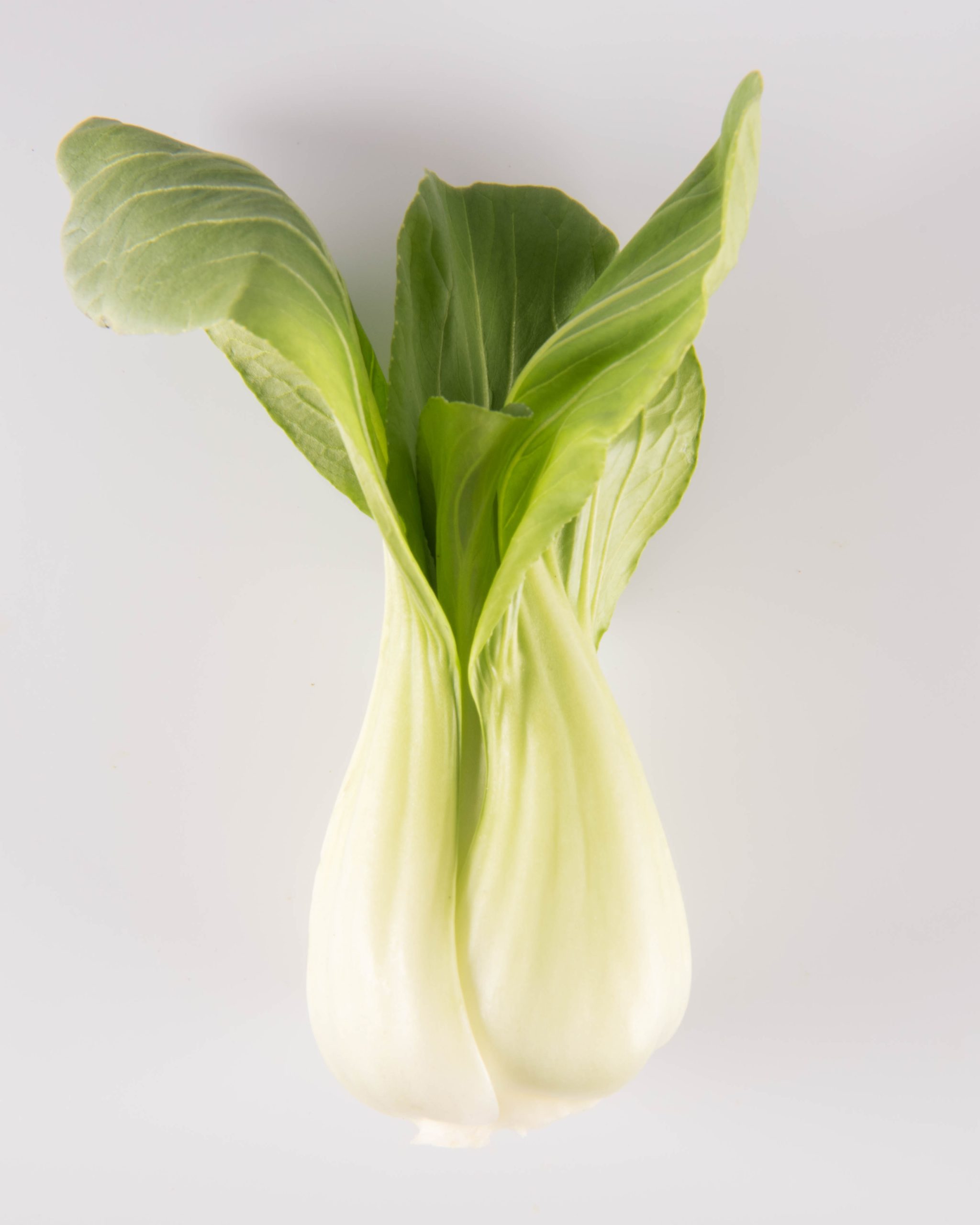 Bok Choy