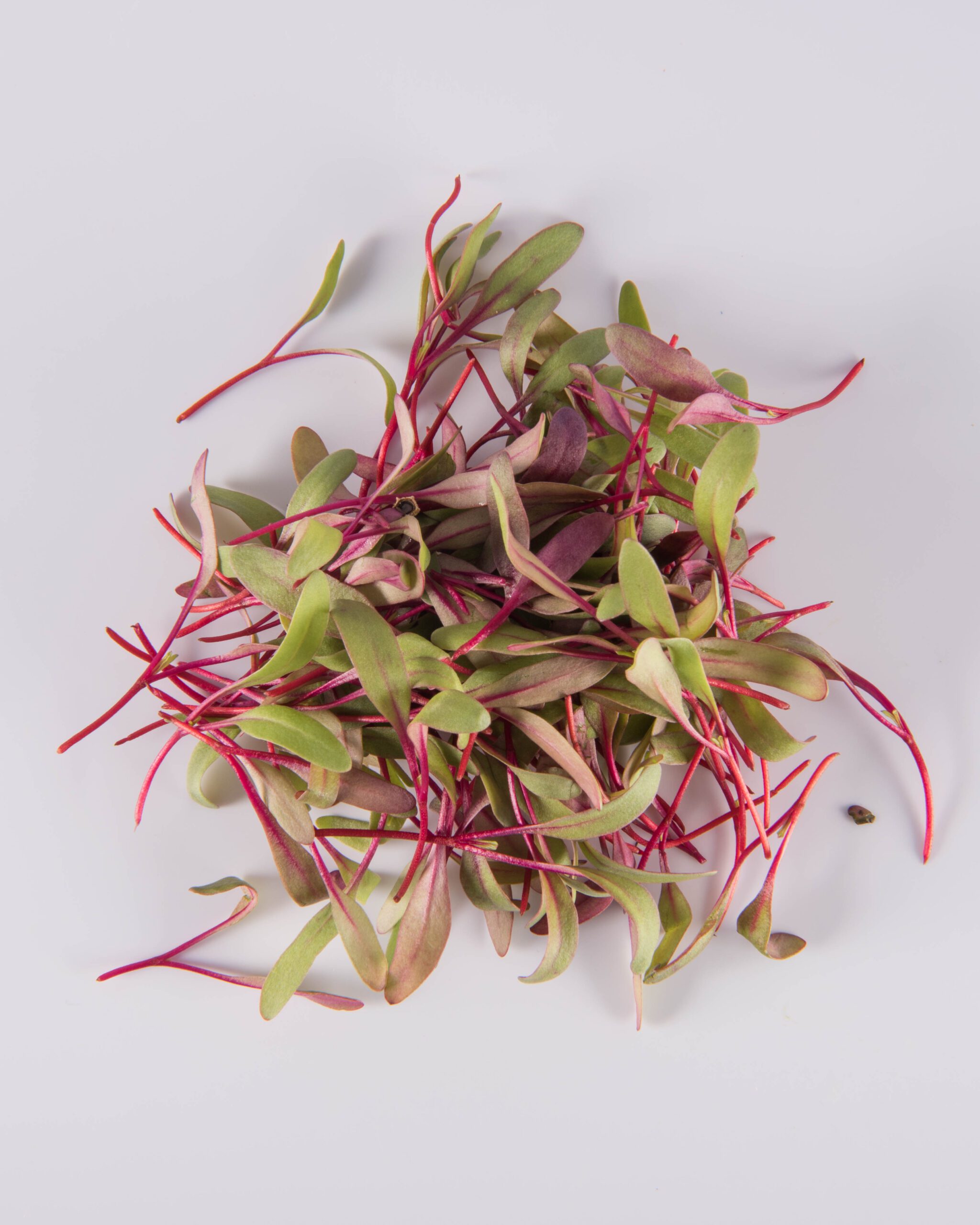 Other Microgreens