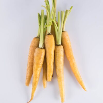 Yellow Carrot