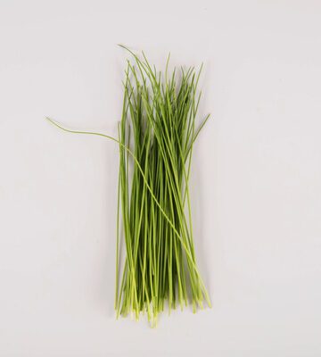 Chives