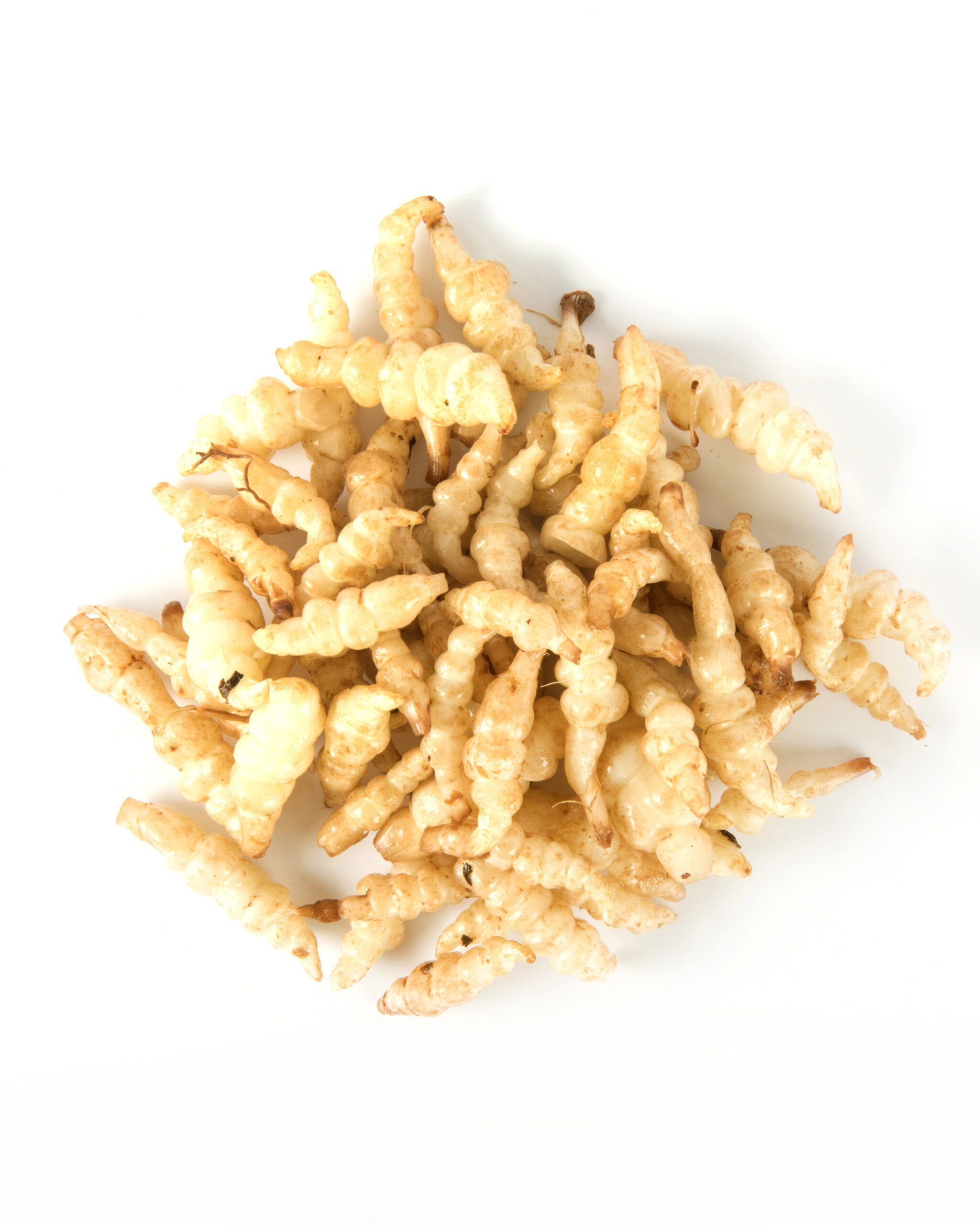 Crosnes