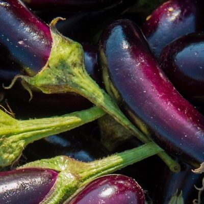 Eggplant
