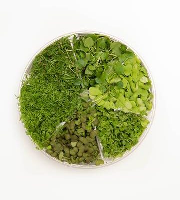 Healthy Blend™ Small Bites