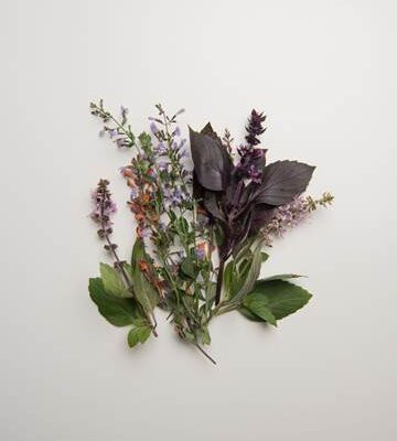 Flowering Herb Sampler