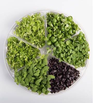 Italian Blend™ Small Bites