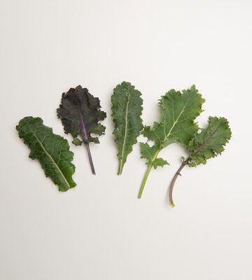 Mixed Kale