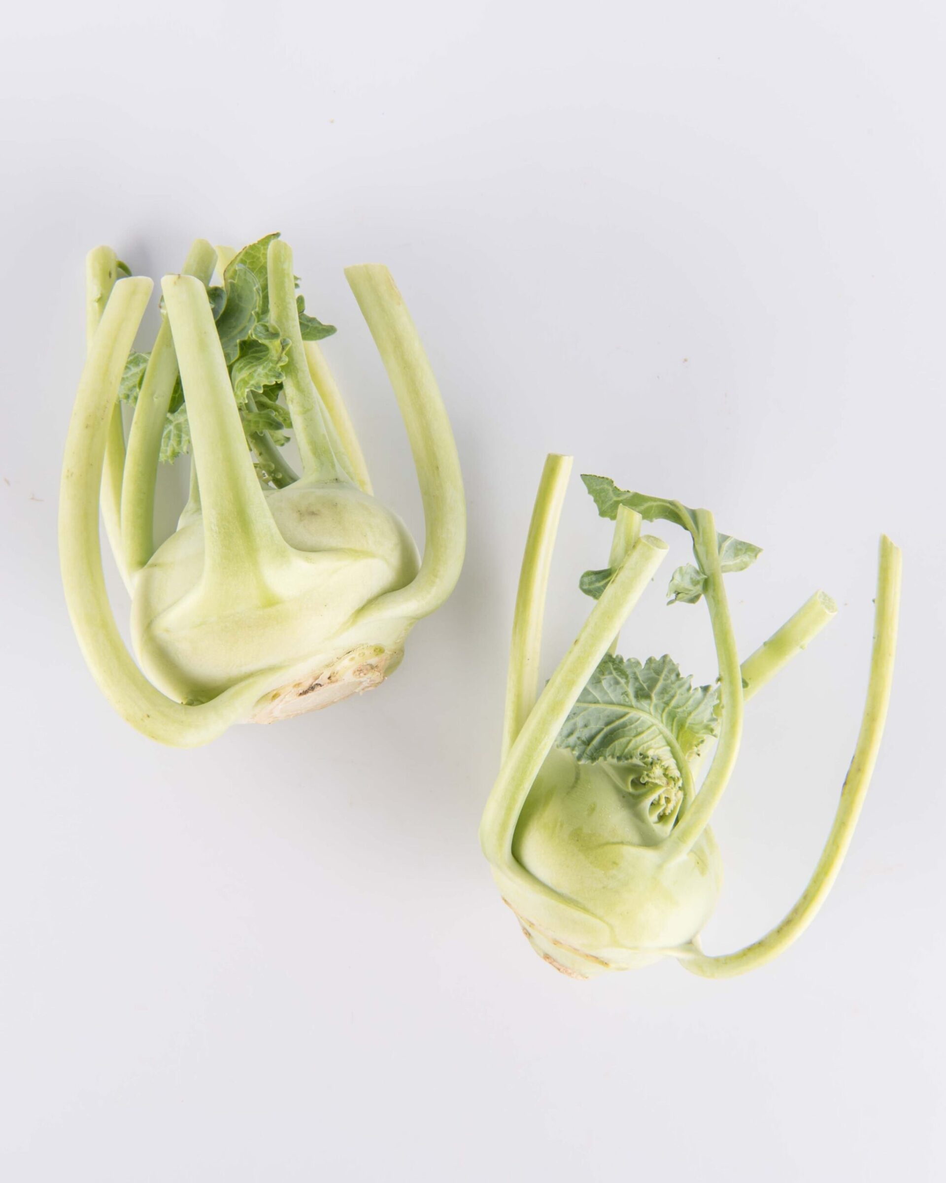 Kohlrabi