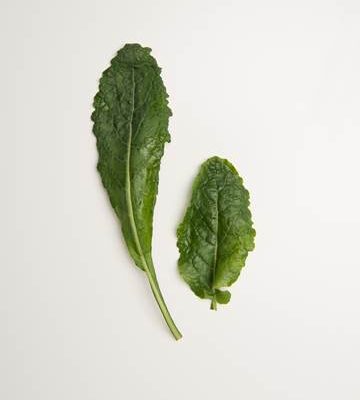 Lacinato Kale