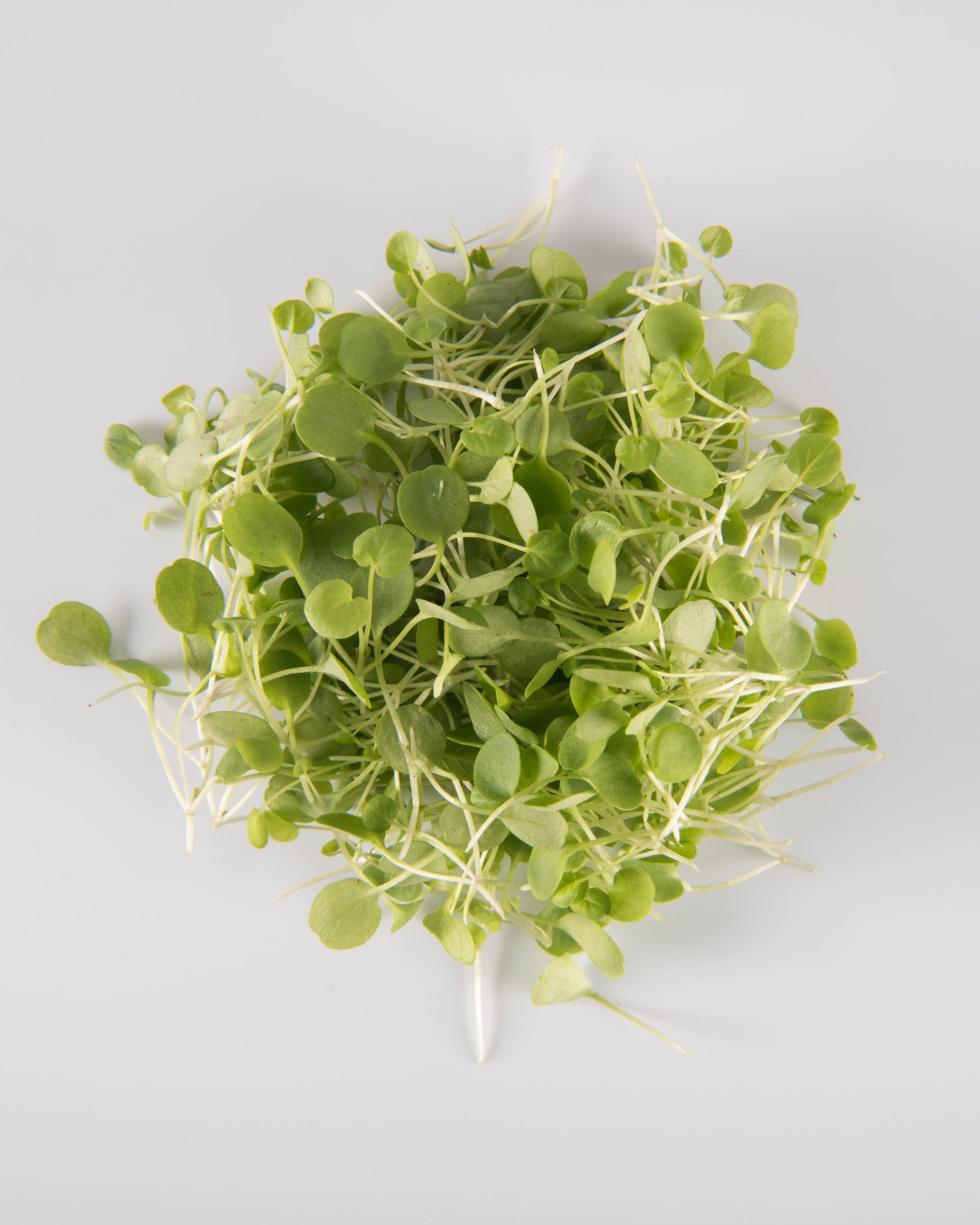 Cress
