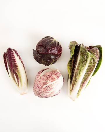 Radicchio