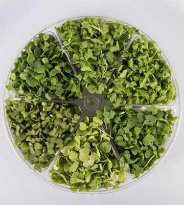 Asian Blend™ Small Bites