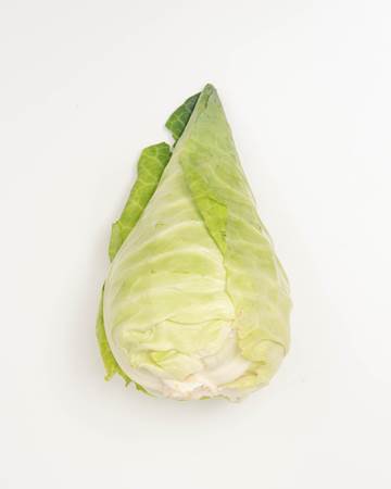 Cabbage