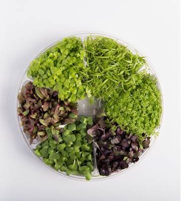 Root Crop™ Blend Small Bites