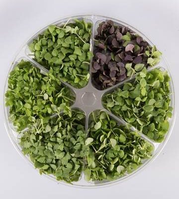 Basil Sampler™ Small Bites