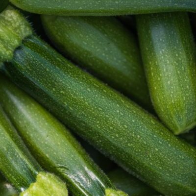 Squash & Zucchini