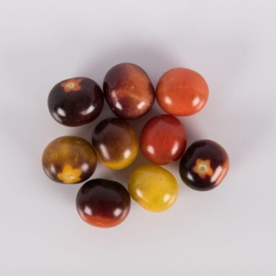 Indigo Blue Berry Cherry Tomato