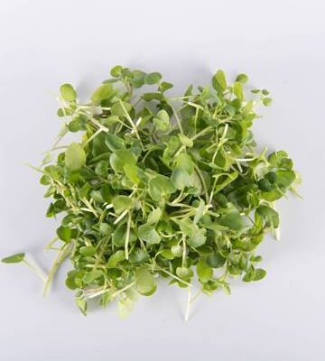 Watercress