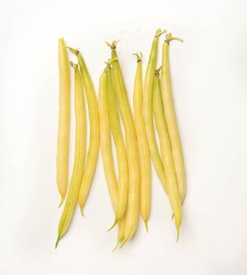 Yellow Wax Bean