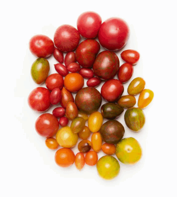 Mixed Tomato