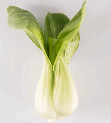 Bok Choy