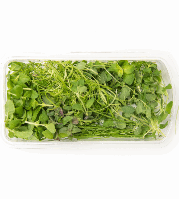 Mediterranean Signature Blend