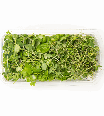 Italian Signature Blend