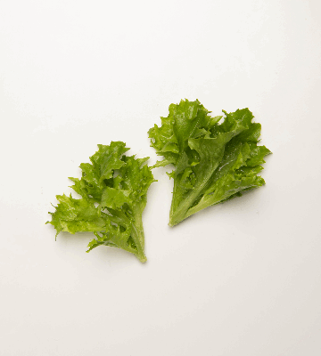 Green Tango Lettuce