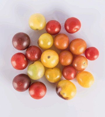 Tomatoes - Mixed Specialty Pint