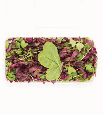 Heart Healthy Signature Blend