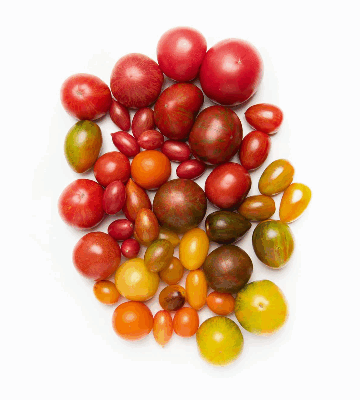 Vegetable Of The Month