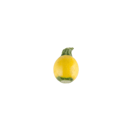 One Ball Squash