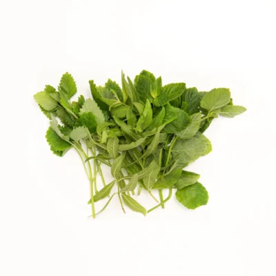 Fresh Herbal Tea Sampler