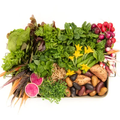 Gourmet Vegetable Box