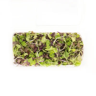 Sulforaphane Signature Blend